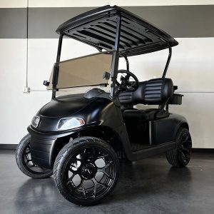 2 seaters electric ezygo new